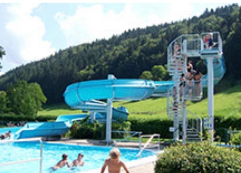 Fewo Alpenwiese Mit Hallenbad&Sauna Missen-Wilhams Esterno foto