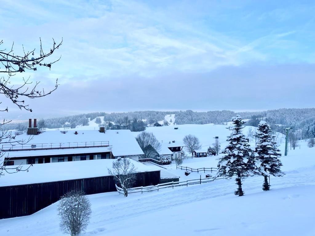 Fewo Alpenwiese Mit Hallenbad&Sauna Missen-Wilhams Esterno foto